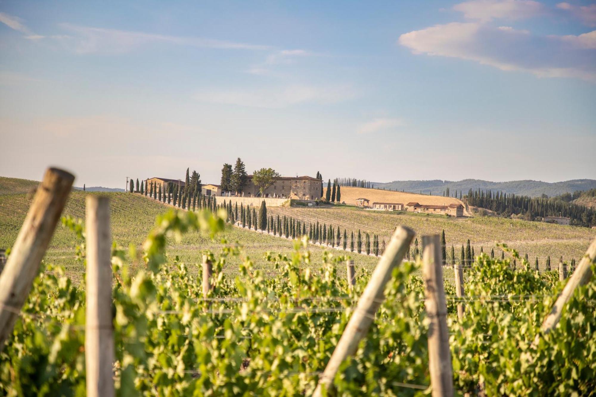 Agriturismo Casale Dello Sparviero Castellina in Chianti Exterior foto