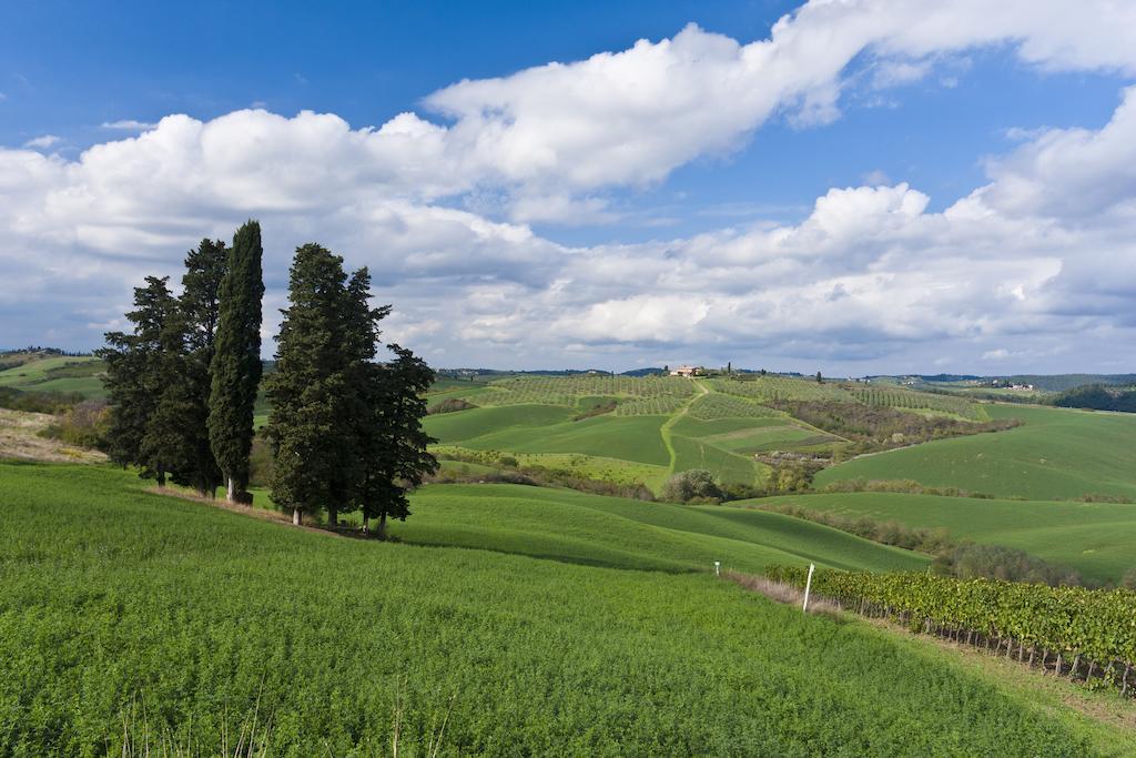 Agriturismo Casale Dello Sparviero Castellina in Chianti Exterior foto