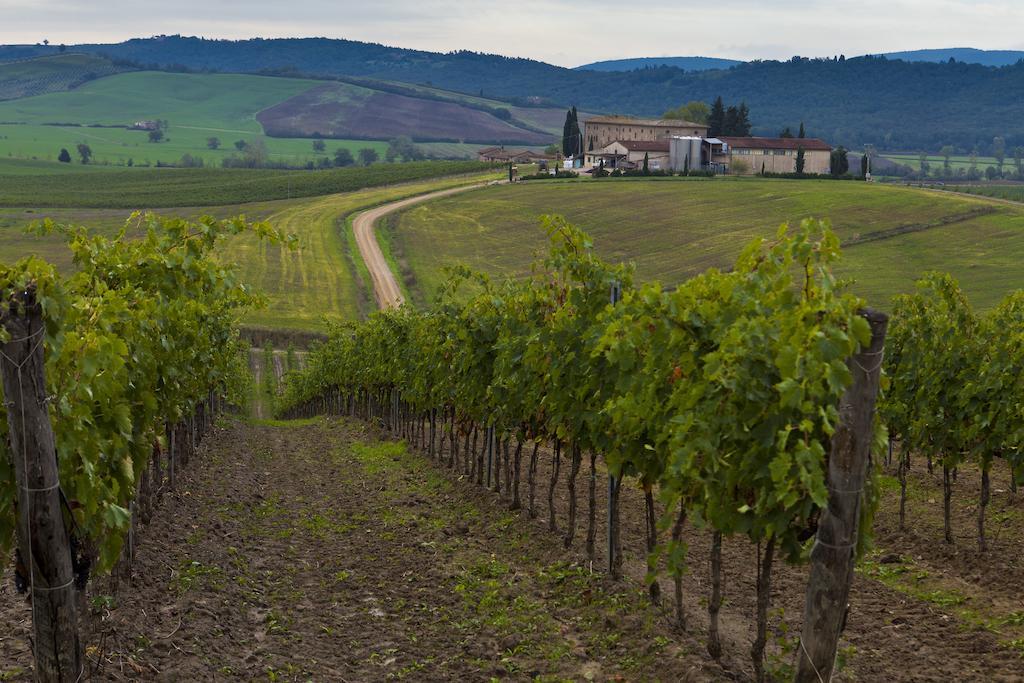 Agriturismo Casale Dello Sparviero Castellina in Chianti Exterior foto